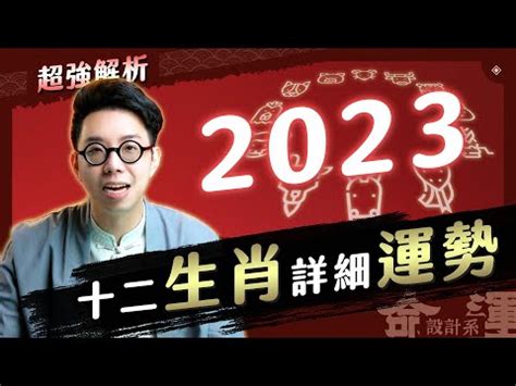 生肖虎2023|2023「十二生肖財運、犯太歲、運勢」！屬兔犯太歲。